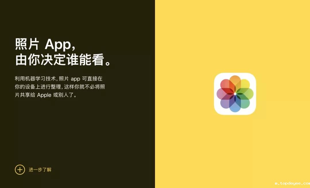 我们不用「元宇宙」这个词!苹果CEO库克:我们称其为AR