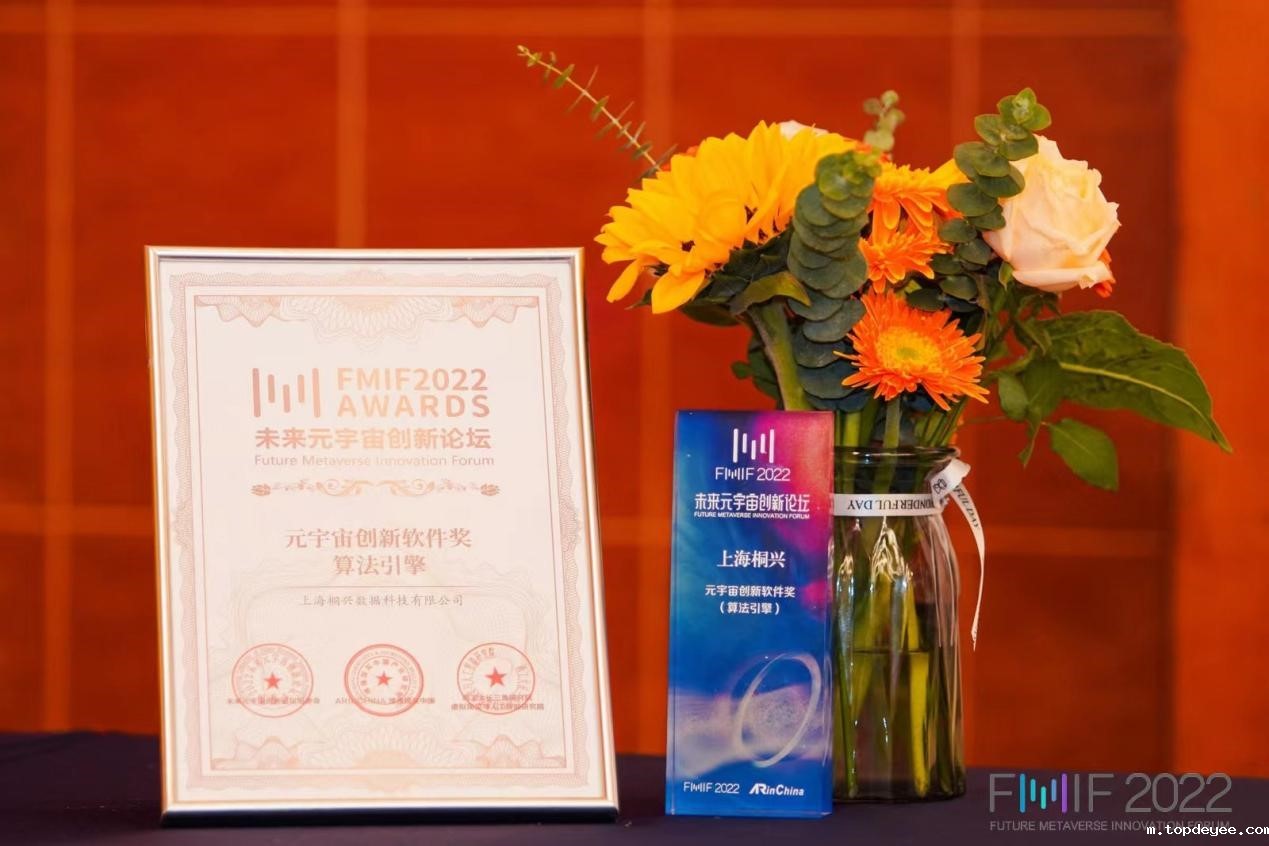上海桐兴数据荣获FMIF Awards未来元宇宙创新软件奖(算法引擎)