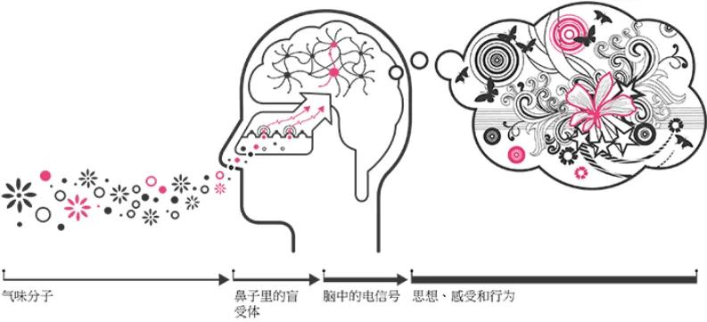 未来元宇宙论坛,没有气味的元宇宙不是真正的元宇宙